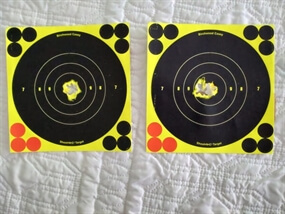 Customer Photo of Target Air Rifles North Yorkshire